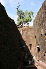 Etiopia (Dancalia)