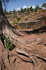 Etiopia (Dancalia)