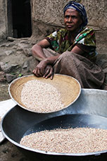 Etiopia (Dancalia)