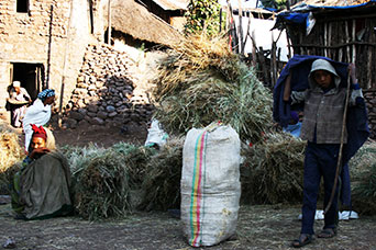 Etiopia (Dancalia)