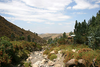 Etiopia (Dancalia)