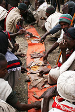 Etiopia (Dancalia)