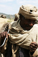 Etiopia (Dancalia)