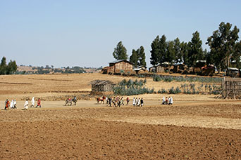 Etiopia (Dancalia)