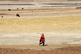 Etiopia (Dancalia)