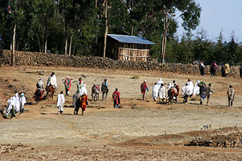 Etiopia (Dancalia)