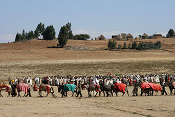 Etiopia (Dancalia)