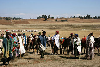Etiopia (Dancalia)