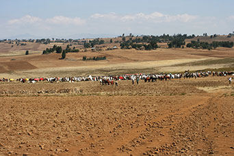 Etiopia (Dancalia)