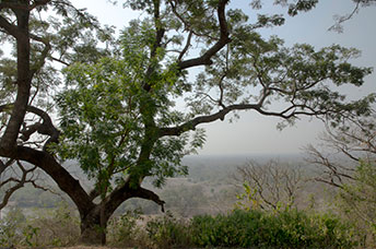 Ghana
