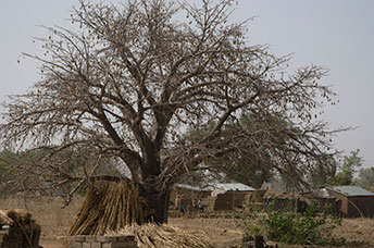 Ghana