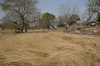 Ghana