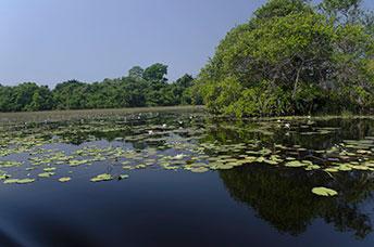 Ghana