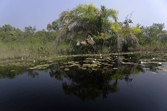 Ghana