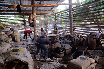 Ghana