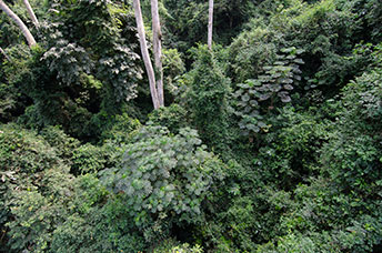 Ghana