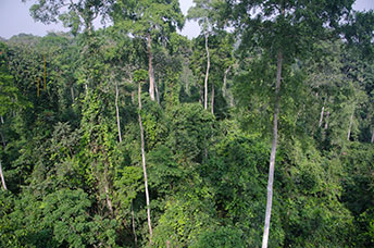 Ghana
