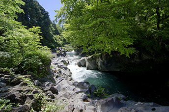 Giappone