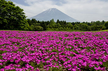 Giappone
