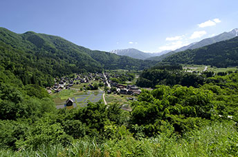 Giappone
