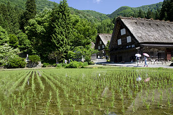 Giappone