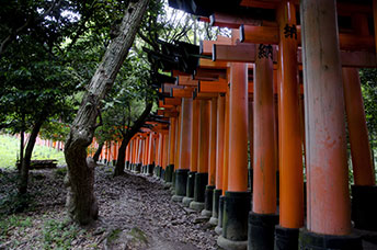 Giappone