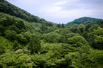 Giappone