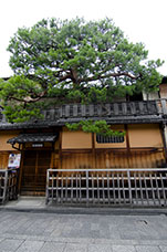 Giappone