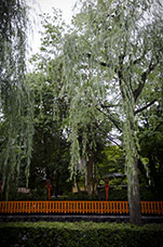 Giappone