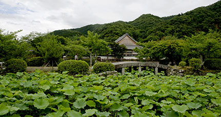 Giappone