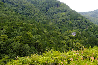 Giappone