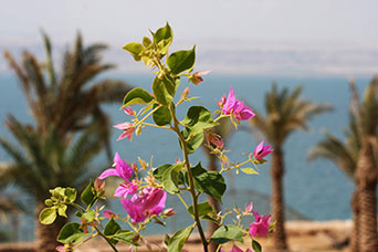 Giordania
