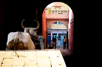 India (centrale)