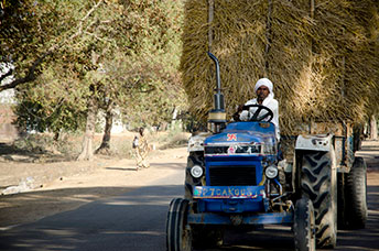 India (centrale)