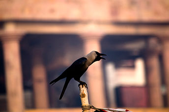 India (centrale)