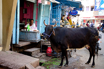India (centrale)