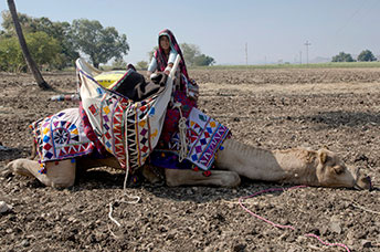 India (centrale)
