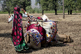 India (centrale)