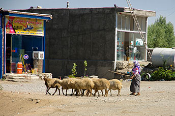 Iran
