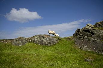 Irlanda del Nord