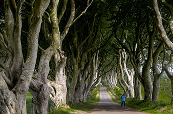 Irlanda del Nord