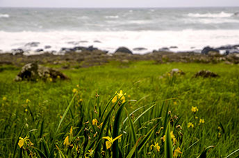 Irlanda del Nord