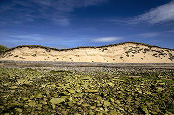 Irlanda