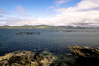 Irlanda