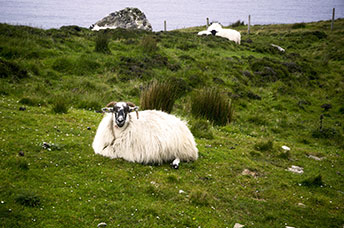 Irlanda