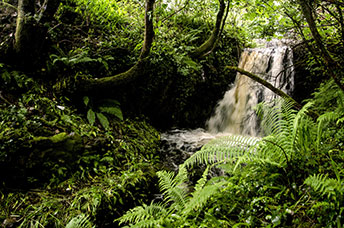 Irlanda