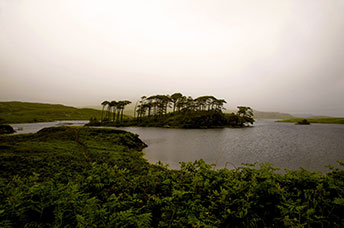 Irlanda