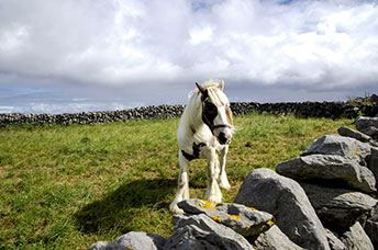 Irlanda