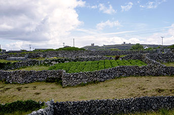 Irlanda