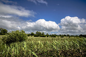 Irlanda